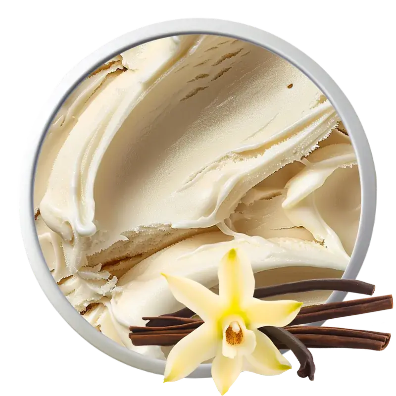 Înghețată artizanală Vanilie – Toni Gelato