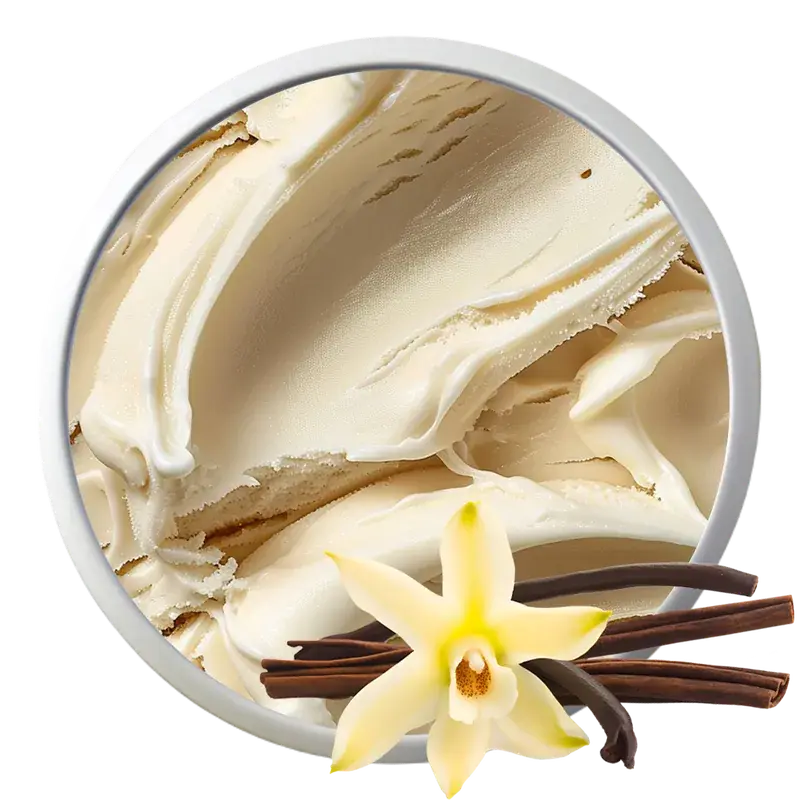 Înghețată artizanală Vanilie – Toni Gelato